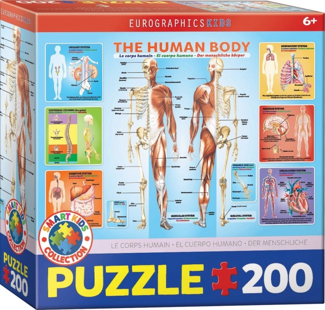 Eurographics Puzzle Menschlicher Körper 200 Teile