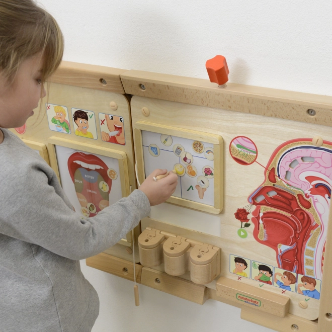 Montessori-Duftsinn Lernbrett von Masterkidz