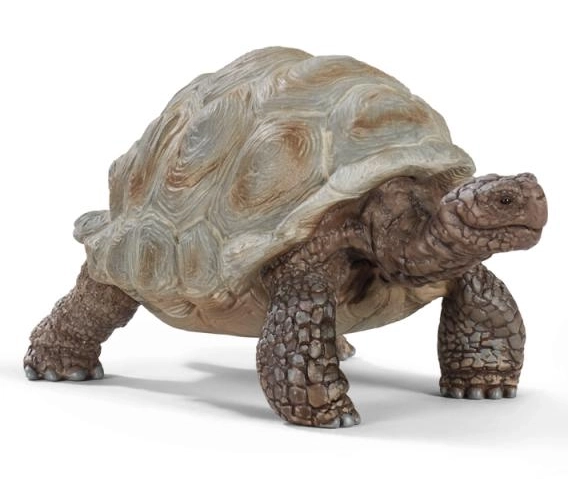 Schleich Wild Life Riesenschildkröte