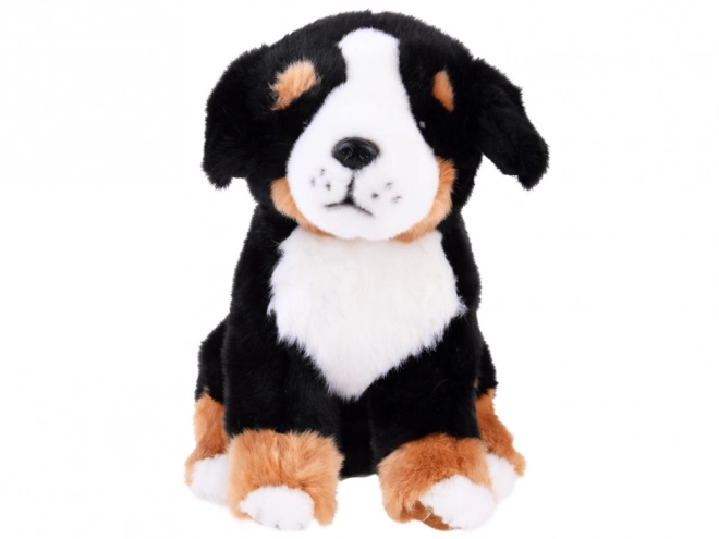 Sitzender Berner Sennenhund Plüschtier 20 cm