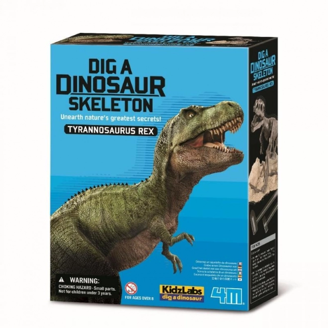 4M Dinosaurier-Skelett - T-Rex