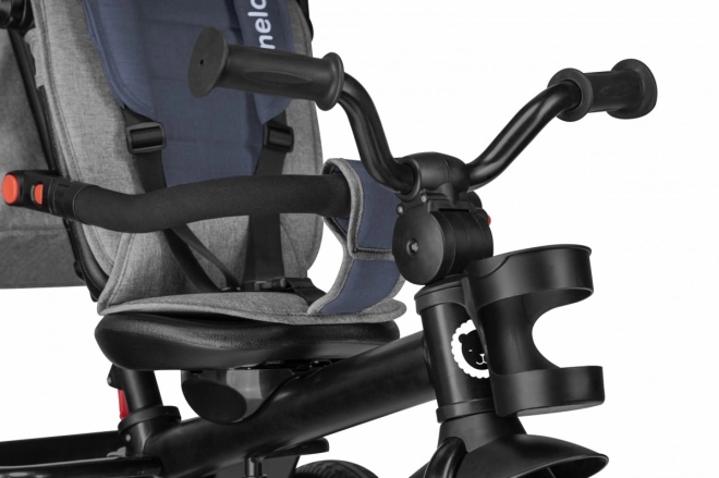 Wandelbarer Dreirad Buggy Lionelo Haari