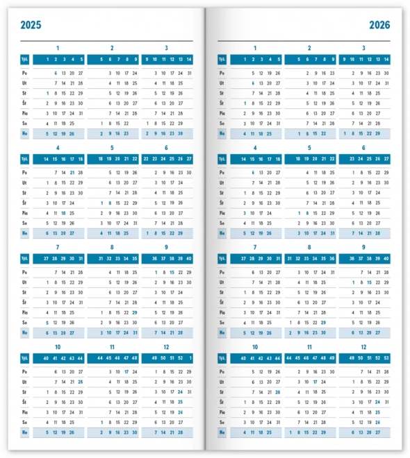 Notizbuch Blau 2025 Monatlich