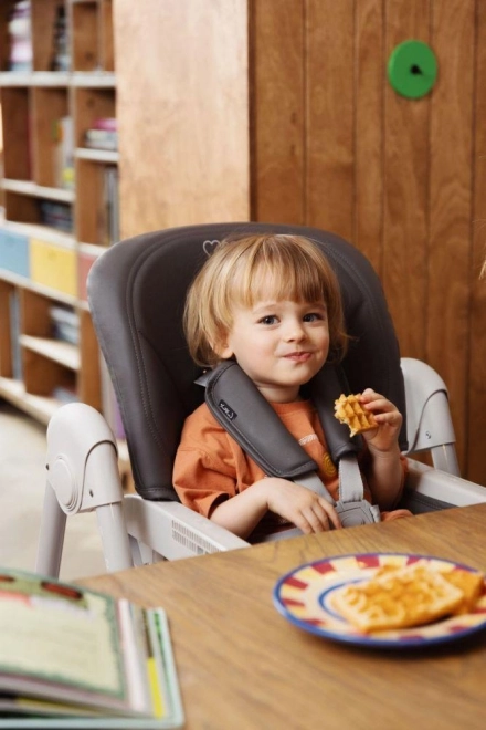 Jídelnístuhl für Babys und Kleinkinder von MoMi