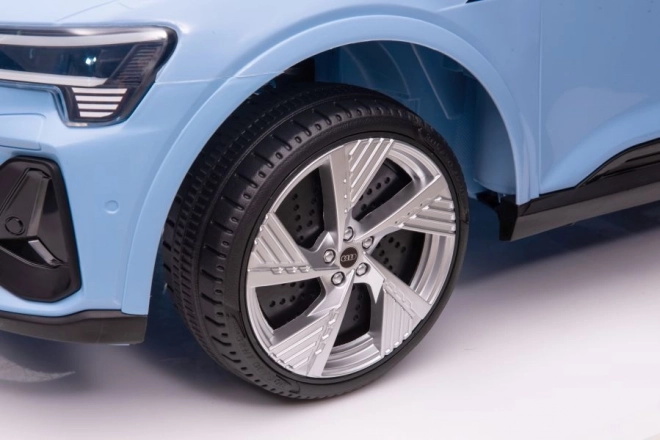 Audi E-Tron Autobatterie Blau QLS-6688