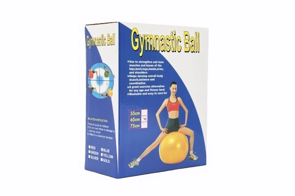 Rehabilitation Gymnastikball 65cm