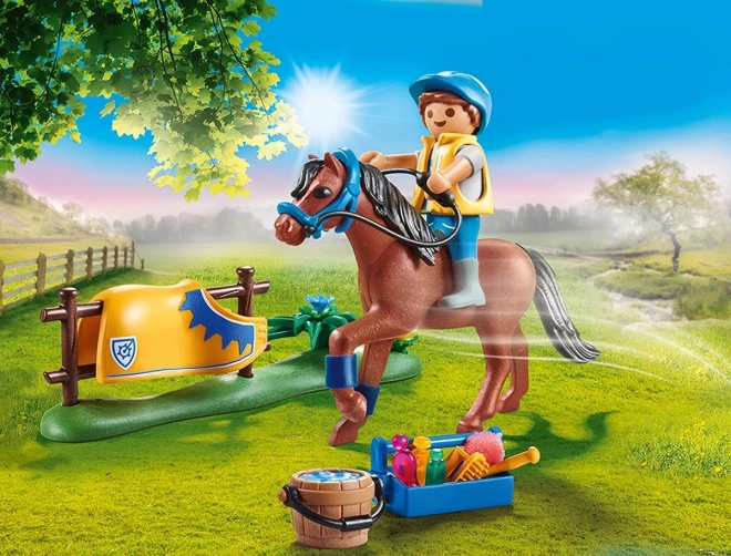 Playmobil Welsh Pony Sammelfigur