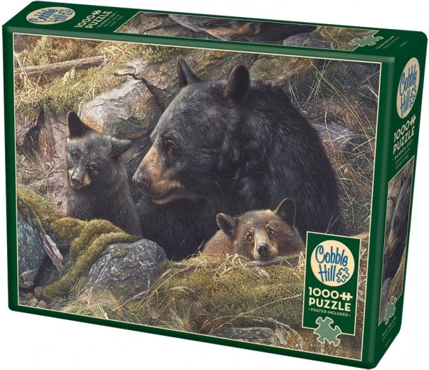 Bild der Bärenfamilie