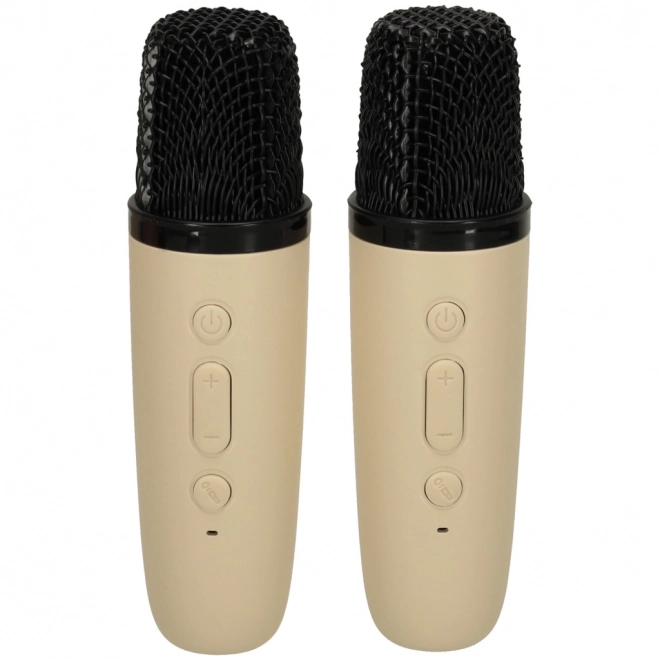Karaoke-Set mit 2 Mikrofonen und Bluetooth-LED-Lautsprecher
