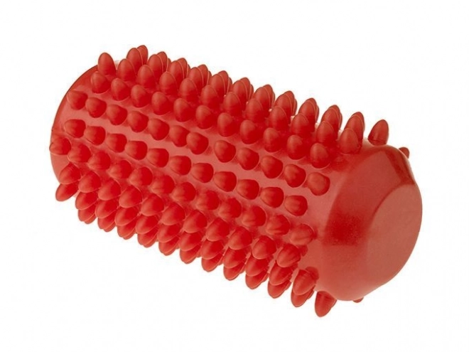 Roter Massage Roller