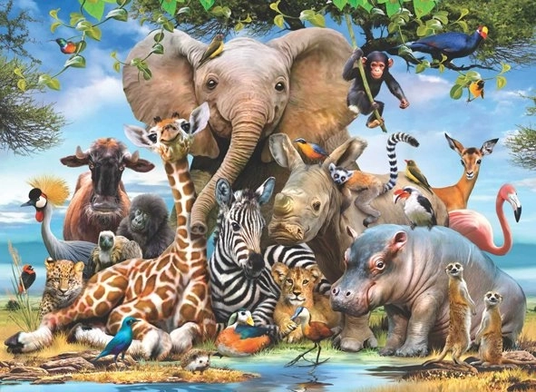 Puzzle ANATOLIAN – Afrikanisches Lächeln, 1000 Teile