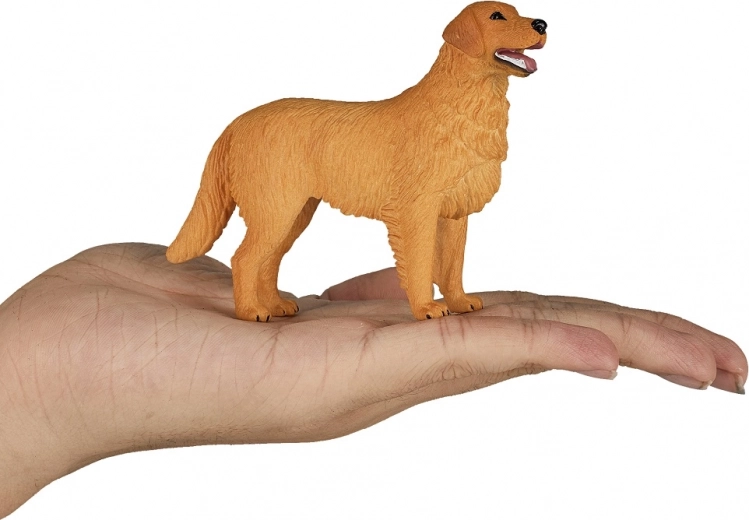 Praktische mittlere Größe