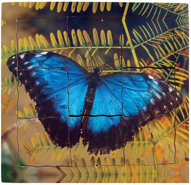 Schmetterling und sein Lebenszyklus - Holzpuzzle