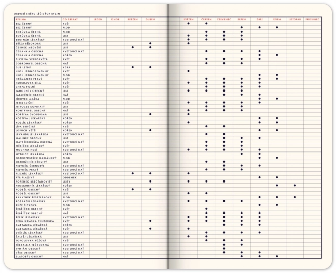 Zábav-Kalender von Kateřina Winterová 2025