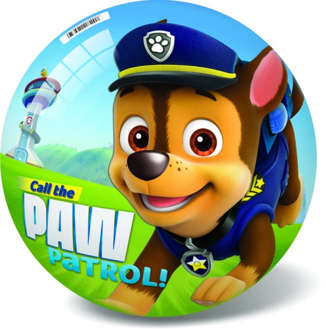 Paw Patrol Ball Aufblasbar 23cm in Netz