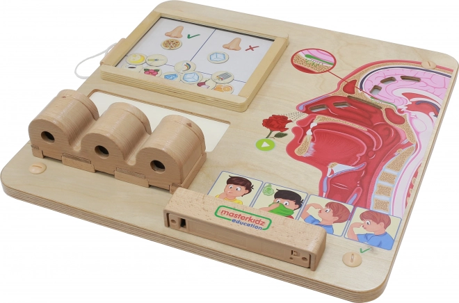 Montessori-Duftsinn Lernbrett von Masterkidz