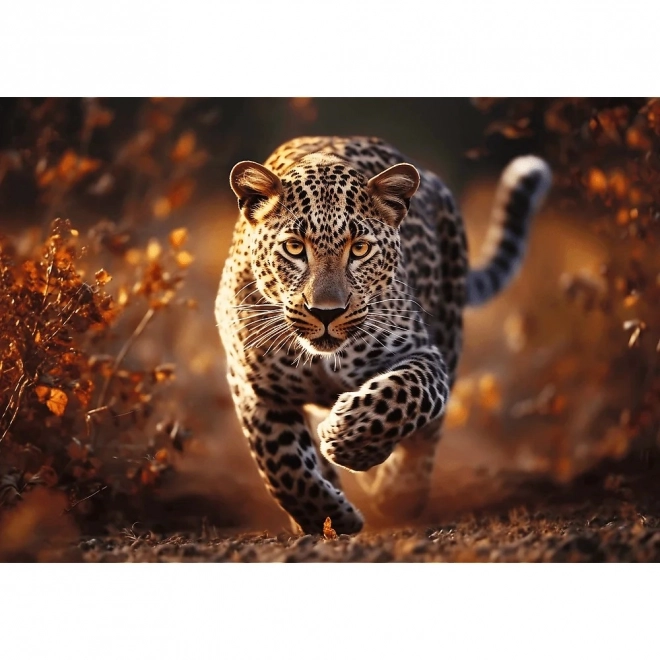 Premium 1000 Teile Puzzle: Wilder Leopard