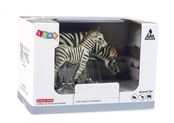 Zebraset mit Erwachsener und Jungtier - Tiere der Welt Serie