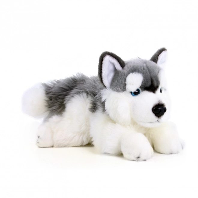 Plüsch Husky Hund 30 cm umweltfreundlich