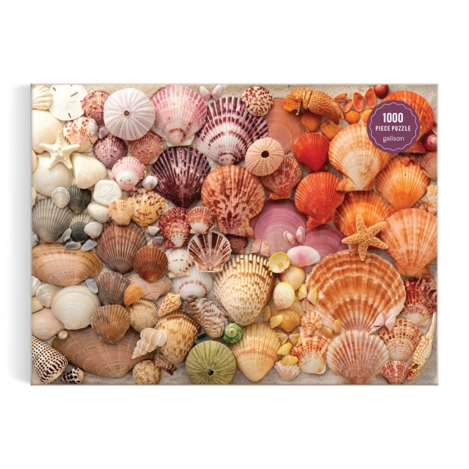 Galison Puzzle Leuchtende Muscheln 1000 Teile