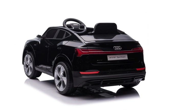 Audi E-Tron Autobatterie Schwarz QLS-6688