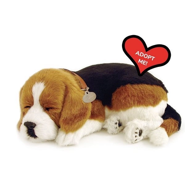 Atmender Welpen Beagle von Perfect Petzzz