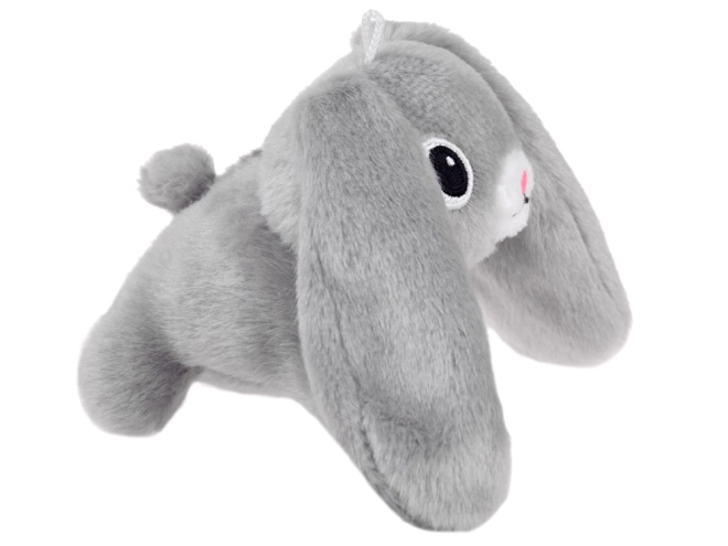 Niedlicher Hase