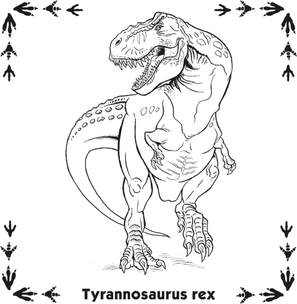 Pexeso Dinosaurier