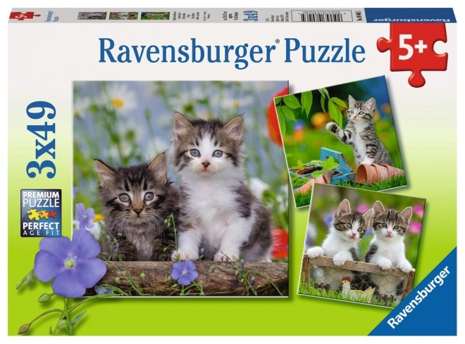 Ravensburger Puzzle Kätzchen Set