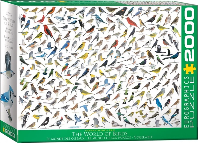 Eurographics Puzzle Welt der Vögel 2000 Teile