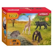 Startset Wildtiere von Schleich