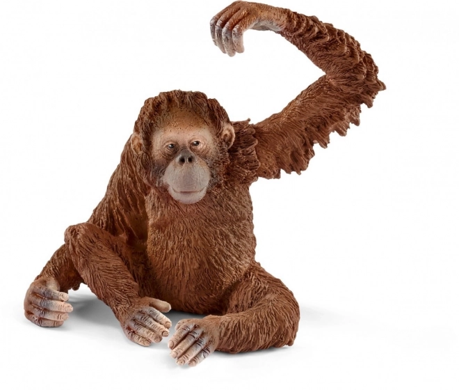 Orangutan Weiblich Schleich Figur