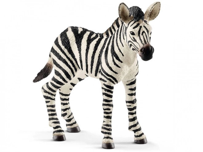 Zebra-Fohlen Schleich Wild Life