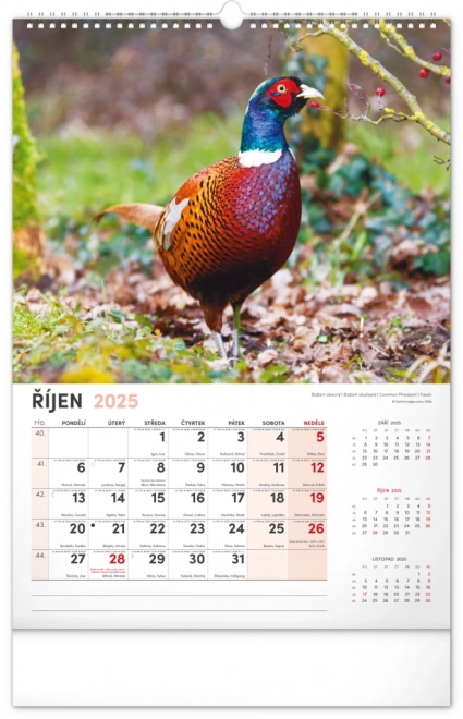 Wandkalender Jagd 2025