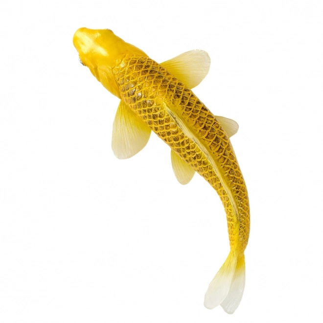 Mojo Karpfen Koi Matsuba