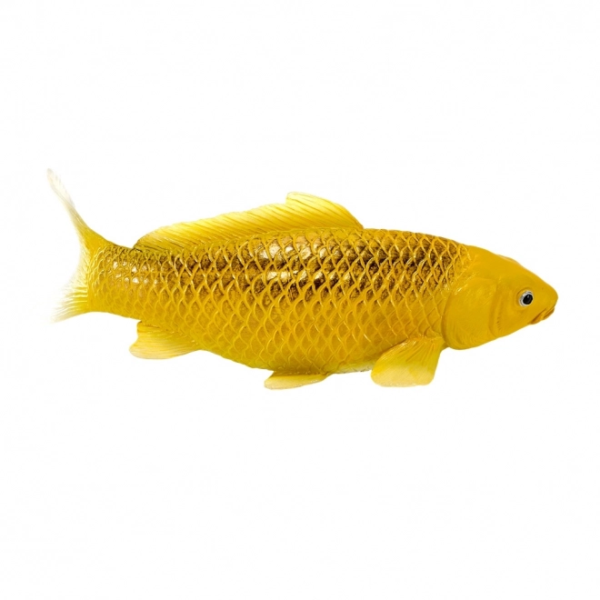 Mojo Karpfen Koi Matsuba