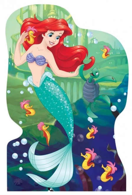 Konturpuzzle mit Disney Prinzessinnen 4x54 Teile