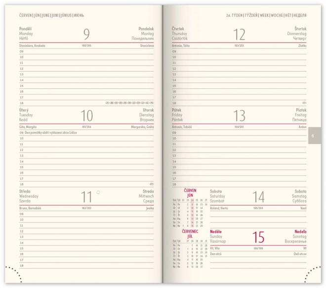 Notique Taschendikalender Vellum 2025 in Orange