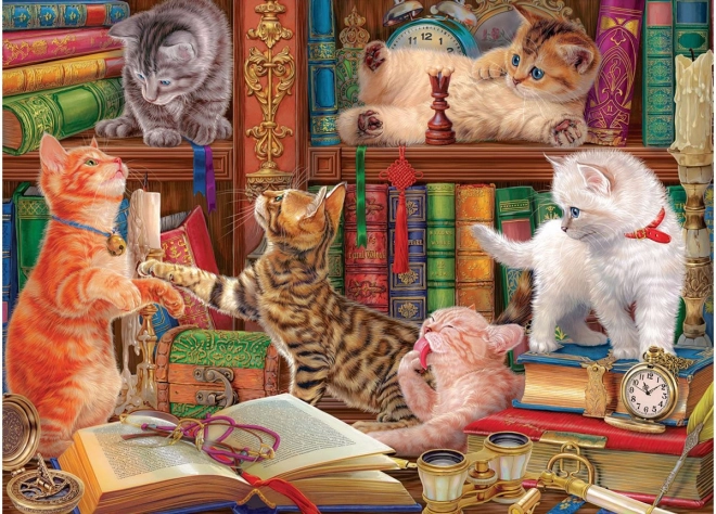 EUROGRAPHICS Puzzle Katzenbibliothek 1000 Teile