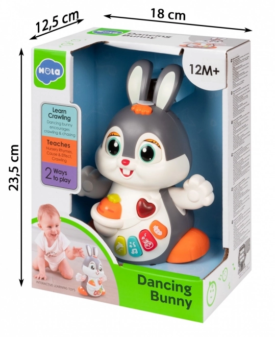 Tanzender Hase von Hola