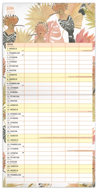 Familienplaner Kalender 2025 von NOTIQUE