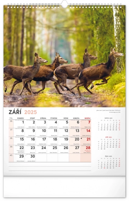 Wandkalender Jagd 2025