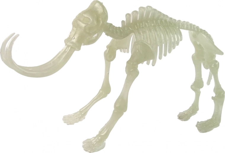 Großartige Lichtshow