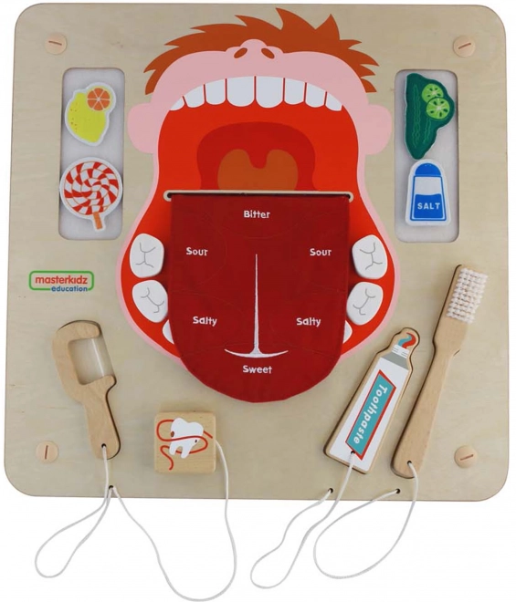 Masterkidz Wand-Sensoriktafel Mundhygiene Montessori
