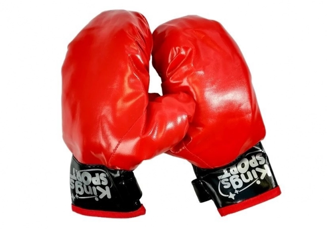 Boxset Handschuhe und Schild Kampfsport