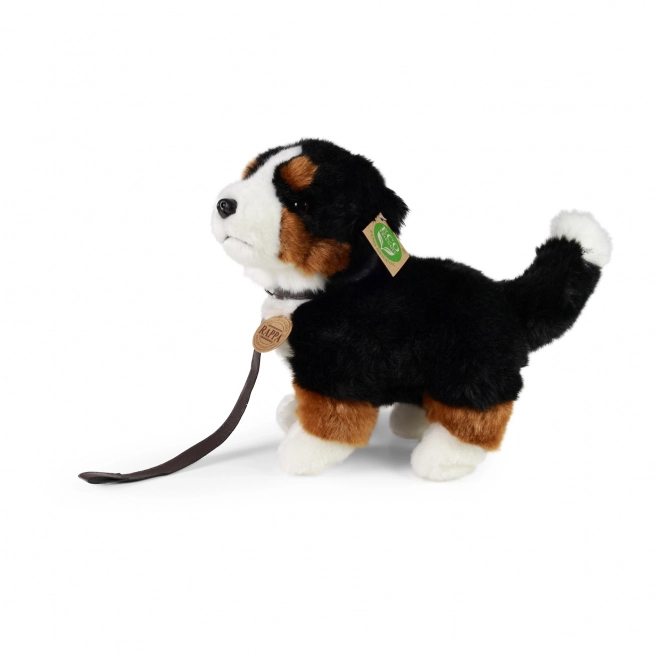 Plüsch Berner Sennenhund 22 cm - umweltfreundlich