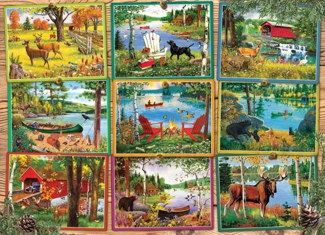 Puzzle Ausblicke vom See 1000 Teile COBBLE HILL
