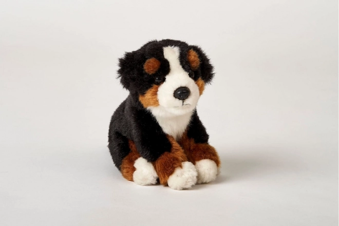 Plüsch Berner Sennenhund 16 cm