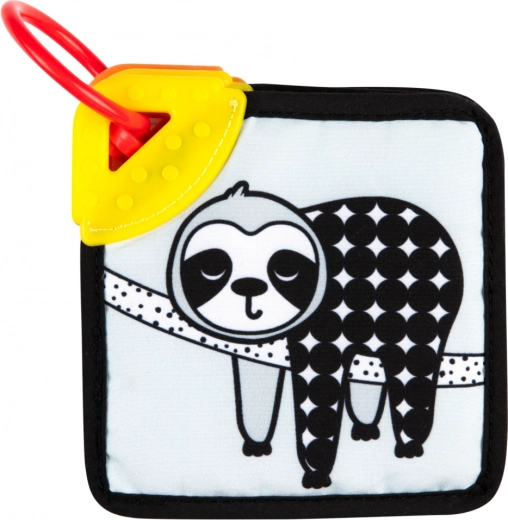 Beißring zur Linderung empfindlicher Zahnfleischpartien