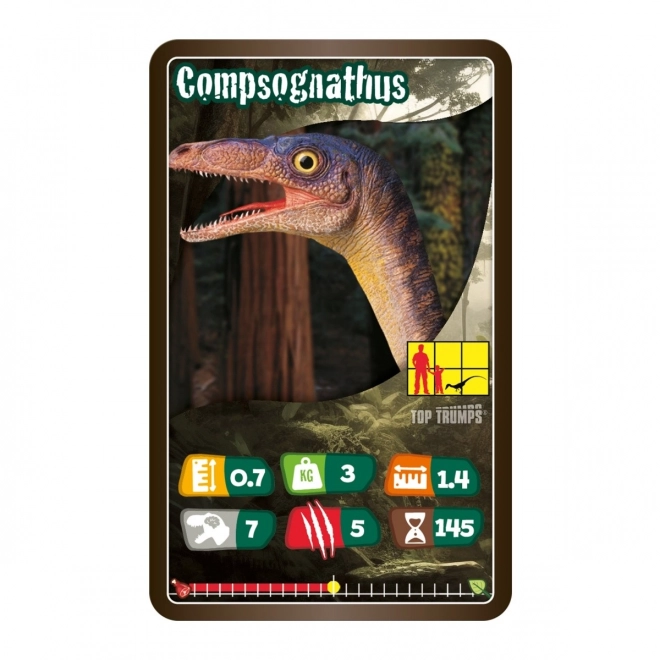 Dinosaurier Kartenspiel